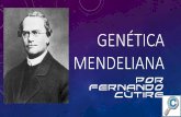 Genética MEndeliana - cineticacj.comcineticacj.com/wp-content/uploads/2018/04/genetica-mendeliana... · IMPORTANTE LEER •Información sacada de las diapositivas del profesor, un