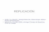 REPLICACIÓN - Universidad Autónoma Metropolitanainvestigacion.izt.uam.mx/aeroespacial/ocwbq311i/REPLICACION.pdf · ADN. Transcripción reversa. Replicación del ADN • Doble cadena,
