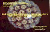 DIAGNOSTICO MOLECULAR DE LA INFECCIÓN … · DIAGNOSTICO MOLECULAR DE LA INFECCIÓN POR HPV NUEVAS TECNOLOGIAS DETECCIÓN HPV ... Valoración de la eficacia del cribado basado en