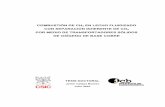 COMBUSTIÓN DE CH EN LECHO FLUIDIZADO CON …digital.csic.es/bitstream/10261/5416/1/TesisCelaya.pdf · combustiÓn de ch4 en lecho fluidizado con separaciÓn inherente de co2 por