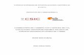 COMBUSTIÓN DE CARBÓN CON CAPTURA DE CO …digital.csic.es/bitstream/10261/115547/3/combustion_carbon_Adanez.pdf · consejo superior de investigaciones cientÍficas (c.s.i.c.) instituto
