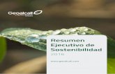 Resumen Ejecutivo de Sostenibilidad - geoalcali.com · describe en el informe Vision 2050 elaborado por el World ... y extender allí sus ventajas por ... de las directrices ISO 26000