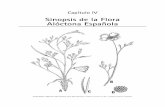 Capítulo 4: Sinopsis de la flora alóctona española · uno de los principales biotipos. Llama la atención la ... Se trata de táxones cultivados en algún momento, ya sea con finalidad