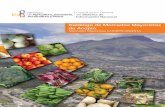 Catálogo de Mercados Mayoristas de Acopiosinagap.agricultura.gob.ec/phocadownloadpap/zonificaciones/catalog... · de instrumento para contribuir en la comprensión de la dinámica