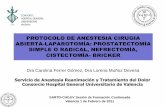 PROTOCOLO DE ANESTESIA CIRUGIA ABIERTA …chguv.san.gva.es/docro/hgu/document_library/servicios_de_salud/... · •La anestesia y analgesia regional puede ayudar a preservar la función