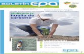 Estrategia de EPA Cartagena para concientizar sobre la ...epacartagena.gov.co/wp-content/uploads/2017/07/Boletin-EPA-8.pdf · carbono, forma parte de la estrategia de la autoridad