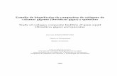 Estudio de biopelículas de compositos de colágeno de ...lori.academicdirect.org/cites/200935.pdf · Por otro lado, el quitosano es un polímero natural obtenido por la ... camarones