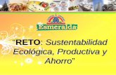 RETO Sustentabilidad Ecológica, Productiva y Ahorrosegob.guanajuato.gob.mx/sil/docs/eventos/25Sem/Proyecto RETO... · Junta de Revisión. Quincenal. Presentación de Resultados.