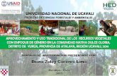Diana Zuley Cáceres Lima - Construyendo Capacides … · Botánica de las especies vegetales reportadas Georreferenciación de áreas aprovechadas en la ... (kunth) Aristeg - Medicinal