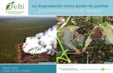 La Degradación como punto de partida - …elti.fesprojects.net/2013 Agua Salud/charla_3_la_degradacion_a... · Tipos de perturbación antropogénica Deforestación: Eliminación