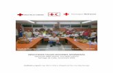 RESULTADOS TALLER LECCIONES APRENDIDAS - …adore.ifrc.org/Download.aspx?FileId=156551&.pdfde la Cruz Roja y de la Media Luna Roja (Oficina de Zona de las Américas) por la confianza