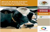 Manual de Buenas Prácticas Pecuarias en Unidades de ... · un productor inocuo y con un alto estándar de calidad; ... los productores de ganado bovino de leche en México, ... instalaciones