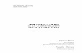 PROFESIONALIZACIÓN DE LA ... - servicio.bc.uc.edu.veservicio.bc.uc.edu.ve/derecho/revista/idc29/art6.pdf · Instituto de Derecho Comparado ... determinado rol en la administración