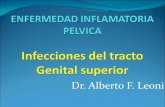 Dr. Alberto F. Leoni - siccordoba.com EPI.pdf · Diagnósticos Diferenciales Embarazo ectópico ... o Embarazo concomitante o Pacientes con absceso tubo-ovárico que se sospeche puedan