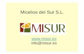 Micelios del Sur S - Altiplano de Granadaaltiplanogranada.org/wp-content/uploads/2016/12/micodes_misur_con... · ProyectoProyecto para cultivo de setas para cultivo de setas Pleurotus