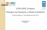 COPLADE Chiapas “Riesgos de Desastre y Medio Ambiente”ped.chiapas.gob.mx/ped/files/2aReunionCOPLADE/02_2_Riesgos_de... · Instrumentar la gestión de la reducción de riesgos