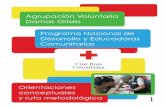 Agrupación Voluntaria Damas Grises Programa …web.cruzrojacolombiana.org/publicaciones/pdf/Orientaciones... · Cruz Roja, se implementó una línea de acompañamiento orientada