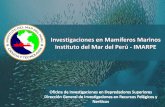 Presentación de PowerPoint - cpps.dyndns.infocpps.dyndns.info/cpps-docs-web/planaccion/docs2017/octubre... · Evaluaciones poblacionales de lobos marinos. 2. Avistamiento de mamíferos