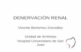 Denervación renal - Sociedad Española de Cardiología ...secardiologia.es/images/stories/congreso-11/presentaciones/... · • Papel del riñón y de la denervación renal en la