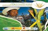 GCP/GUA/012/SPA Fortaleciendo las dinámicas … · AGRICULTORES MEJORADORES DE SU PROPIA SEMILLA Fortalecimiento de la producción de maíz a través del fitomejoramiento participativo