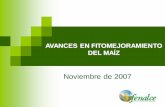 AVANCES EN FITOMEJORAMIENTO DEL MAÍZ - …€¦ · A pesar de su importancia, la investigación nacional en fitomejoramiento al maíz, se debilitó en los últimos 15 años como