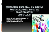 EDUCACIÓN ESPECIAL EN BOLIVA …³n... · ÁMBITO DE EDUCACIÓN ESPECIAL ... Programas Educativos Individuales integrales y personalizados que los centros de Educación Especial