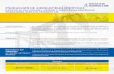 PRODUCCIÓN DE COMBUSTIBLES SINTÉTICOS - Instituto de … · 2010-10-13 · Producción del Gas de Síntesis Inversión* ... Tecnologías para los procesos de XTL - FISCHER - TROPSCH