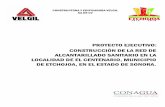 PROYECTO EJECUTIVO: CONSTRUCCIÓN DE LA … EJECUTIVO EL CENT… · este presupuesto fue elaborado con el catÁlogo de precios unitarios de la cea vigente de ... construcciÓn de