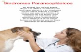 Síndromes Paraneoplásicos - axonveterinaria.netaxonveterinaria.net/.../45/AV_45_Sindromes_Paraneoplasicos.pdf · Algunos signos que aparecen en los Síndromes Paraneoplásicos CAQUEXIA-ANOREXIA