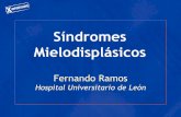 Síndromes Mielodisplásicos - SEHH · Etiopatogenia Contexto inmune: en los SMD de menor riesgo existe un aumento de la apoptosis y un contexto autoinmune, mientras que en los de