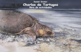 Zander Srodes’ Charlas de Tortugas - widecast.org€¦ · impresión el libro Turtle Talks y su traducción en español Charlas de Tortugas. Gracias a la Dra. Supraja Dharini de