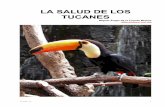 La salud de los tucanes - El Tucán Toco · En los estudios realizados sobre la absorción de hierro en las aves del paraíso, se ha comprobado que absorben hasta el 90% del hierro