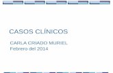 CASOS CLÍNICOS - campus.usal.escampus.usal.es/~ogyp/Clases teoricas 2013 2014/Nefrologia/clase... · Se ha descartado glomerulonefritis, actitud expectante para ver evolución. 2.-