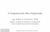 Computación Bio-Inspiradadis.unal.edu.co/~fgonza/courses/2008-II/BI/compBioinspirada.pdf · • Las Redes Neuronales Artificiales son un modelo abstracto del sistema nervioso que