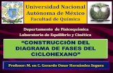 Universidad Nacional Autónoma de México - [DePa] Departamento de …depa.fquim.unam.mx/amyd/archivero/PresentacionDiagramade... · 2014-09-18 · PP VT Ecuación de Clausius-Clapeyron