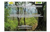 PROYECTO FORTALECIMIENTO DE CAPACIDADES PARA LA GESTIÓN DEL …siar.regionpiura.gob.pe/srcan/files/san_juan_guayaquiles... · 2018-02-23 · El área del bosque seco es considerado