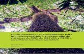 Oportunidades y precondiciones para la … · Acuerdos internacionales vinculantes a la conservación de los bosques y medidas de mitigación en el país 3 ... de emisiones por deforestación