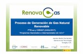 Proceso de Generación de Gas Natural Renovablenews.pte-ee.org/media/images/ckfinder/files/7_RENOVAGAS... · Proyecto Renovagas, con número de expediente RTC-2014-2675-3 financiado