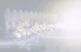LINEA DEL TIEMPO - Iglesia de Cristo GOSHEMgoshem.org/sites/default/files/apocalipsis.pdf · de Jesucristo; y según la revelación del misterio que se ha mantenido oculto desde tiempos