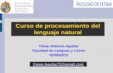 Curso de procesamiento del lenguaje natural - Iniciocesaraguilar.weebly.com/uploads/2/7/7/5/2775690/pln_uc_08.pdf · Un hecho que se da muchas veces por sentado en lenguaje natural