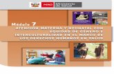 Catalogación hecha por la Biblioteca Central del ... · Salud Materno Perinatal con adecuación intercultural desarrollada en Churcampa - Huancavelica, por Calandria, Kallpa, ...
