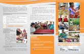programa de rutas de aprendizaje para la Región …asia.procasur.org/wp-content/uploads/2013/04/español...3 Componentes del programa Los principales temas de las Rutas de Aprendizaje