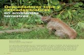 Puma concolor Depredadores tope y cascadas tróficas … · los patrones de diversidad biológica y la abundancia de las especies en los distintos niveles tróficos de un ecosis-