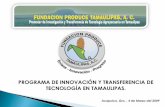 PROGRAMA DE INNOVACIÓN Y TRANSFERENCIA DE … Tamaulipas.pdf · calibración de sembradoras, densidad de siembra y manejo integrado de plagas, con la asistencia del técnico responsable,