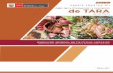 Bol TARA en el Peru FINAL - agroaldia.minagri.gob.peagroaldia.minagri.gob.pe/.../f01-cultivo/produccion_tara2017.pdf · tara a las condiciones climáticas de la costa, con tal éxito