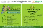 POSTER DIA DE CAMPO CEVAMEX16 - inifap.gob.mx · El Campo Experimental Valle de México Invita a: 23 de Septiembre Pr ograma 24 y 25 de Septiembre A partir de las 9:00 am. Día de
