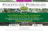 Políticas Públicas - pmcarbono.orgpmcarbono.org/pmc/descargas/proyectos/redd/Breves_de_Politicas... · debajo de las cuerdas, por medio de la técnica de intersecciones planares