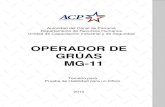 OPERADOR DE GRÚAS MG-11 - … · Para la prueba escrita el operador debe dominar las siguientes áreas de conocimiento y ser capaz de: Matemática básica relacionada al oficio 1.