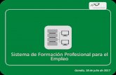 Sistema de Formación Profesional para el Empleo - …aesafor.es/wp-content/uploads/2017/07/Sistema_FP_para_el_Empleo.pdf · Regulación del Sistema de Formación Profesional para