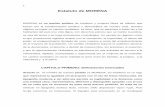 Estatuto de MORENA - Regeneraciónregeneracion.mx/wp-content/uploads/2014/01/EstatutoMORENA.pdf · tipografía moderna y sin adornos permite su legibilidad a la distancia como una